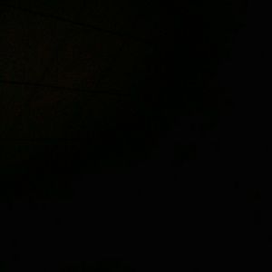 Meet your Posher, Amelia